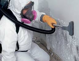 Best Comprehensive Air Testing for Mold Contaminants  in Taylors Falls, MN